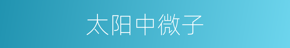 太阳中微子的同义词
