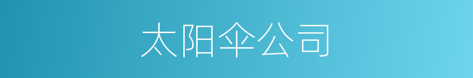 太阳伞公司的同义词