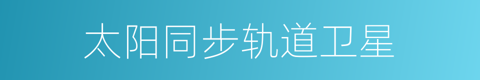 太阳同步轨道卫星的同义词