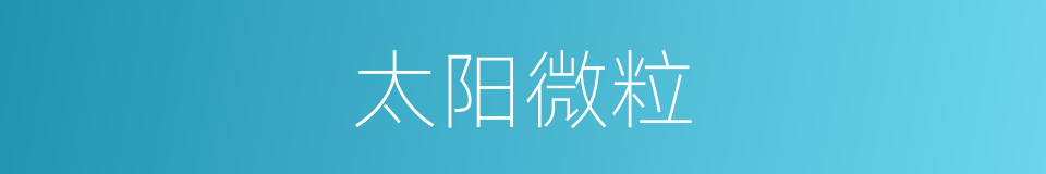 太阳微粒的同义词