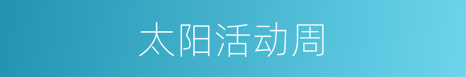太阳活动周的同义词