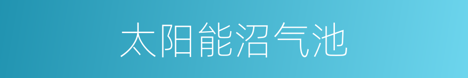 太阳能沼气池的同义词