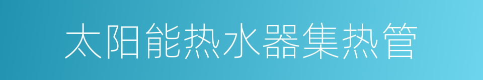 太阳能热水器集热管的同义词