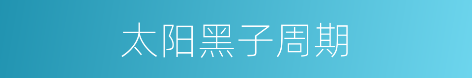 太阳黑子周期的同义词