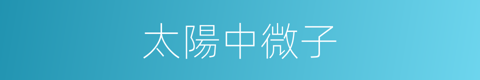 太陽中微子的同義詞