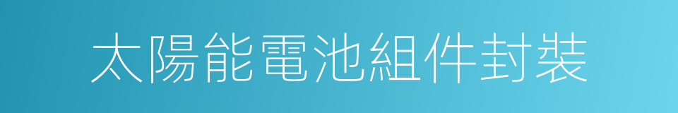 太陽能電池組件封裝的同義詞