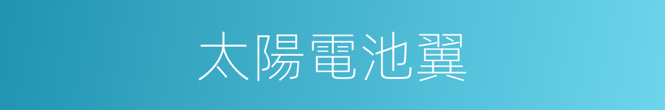 太陽電池翼的同義詞