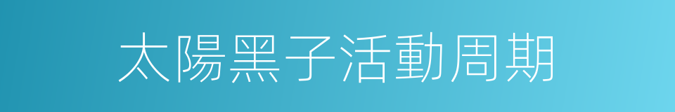 太陽黑子活動周期的同義詞