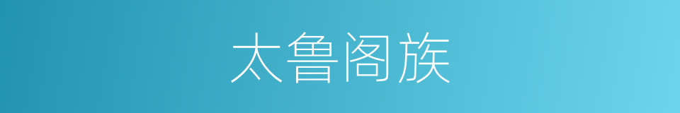 太鲁阁族的同义词