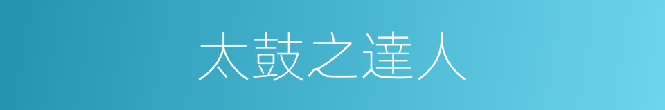 太鼓之達人的同義詞