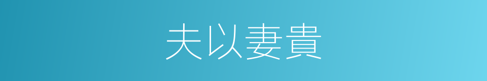 夫以妻貴的同義詞