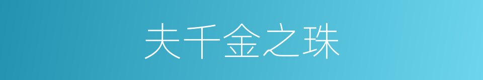 夫千金之珠的同义词