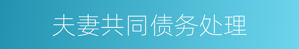 夫妻共同债务处理的同义词