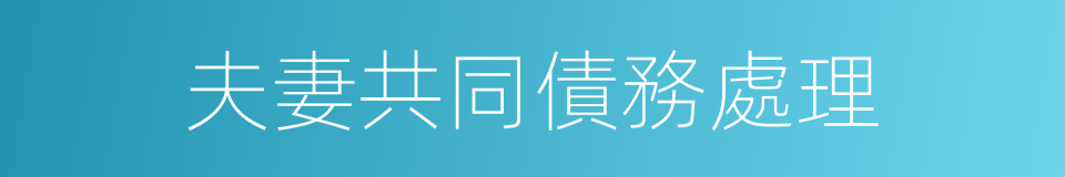 夫妻共同債務處理的同義詞