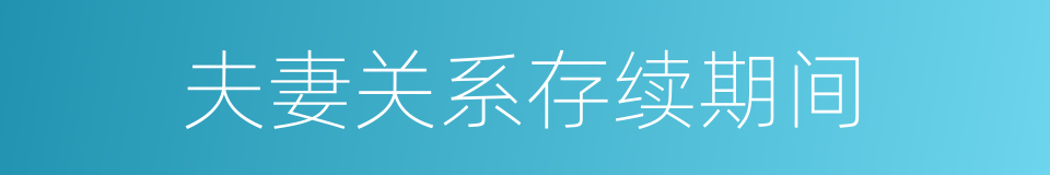 夫妻关系存续期间的同义词