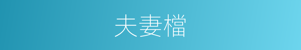 夫妻檔的同義詞