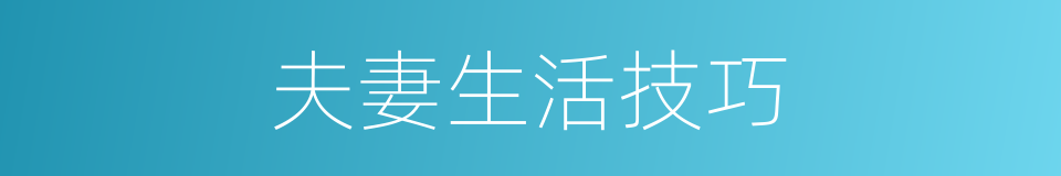 夫妻生活技巧的同义词
