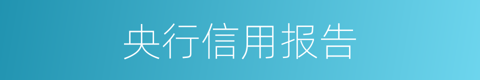 央行信用报告的同义词