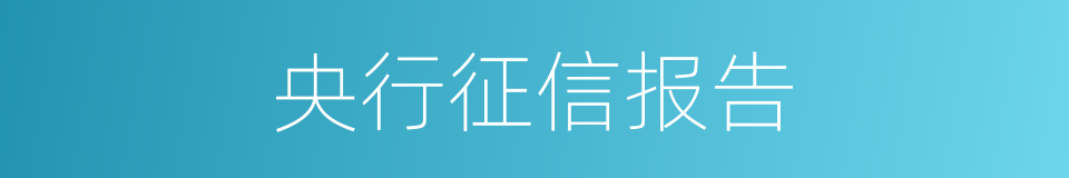 央行征信报告的同义词