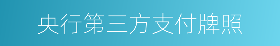 央行第三方支付牌照的同义词