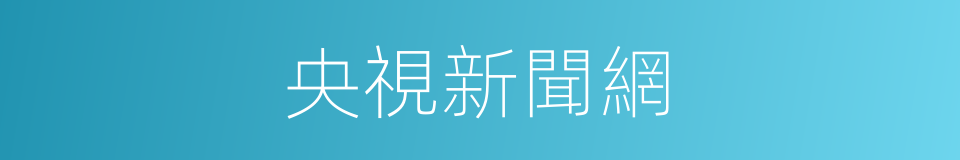 央視新聞網的同義詞