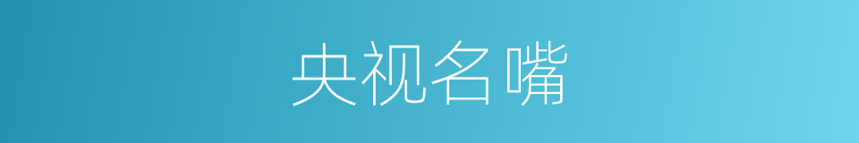 央视名嘴的同义词