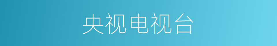 央视电视台的同义词