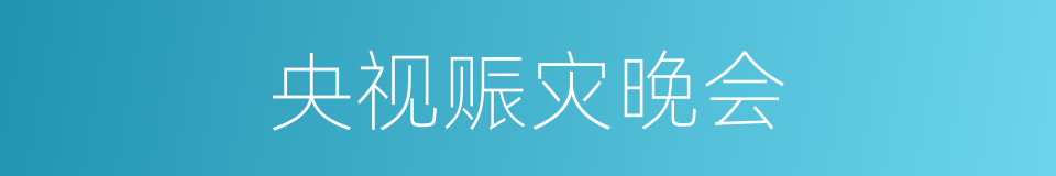 央视赈灾晚会的同义词