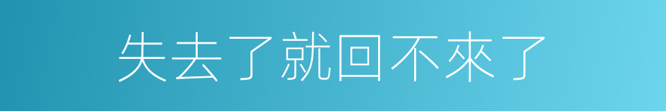 失去了就回不來了的同義詞
