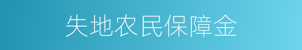 失地农民保障金的同义词