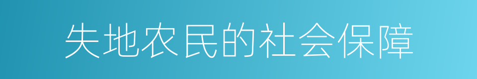 失地农民的社会保障的同义词