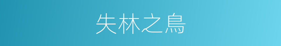 失林之鳥的意思