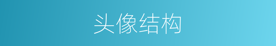 头像结构的同义词
