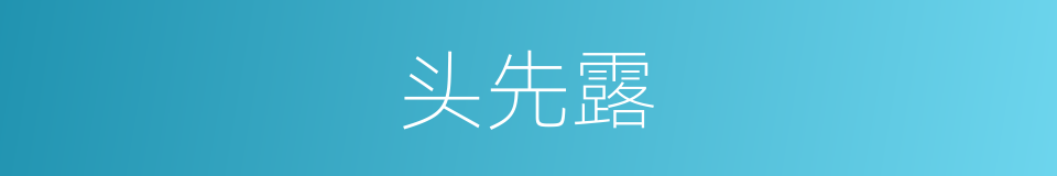 头先露的同义词
