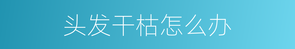 头发干枯怎么办的同义词