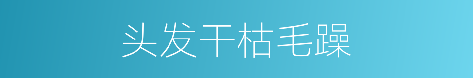 头发干枯毛躁的同义词