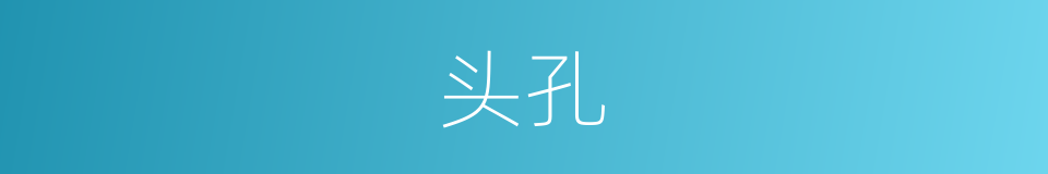 头孔的同义词