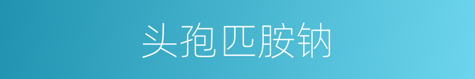 头孢匹胺钠的同义词