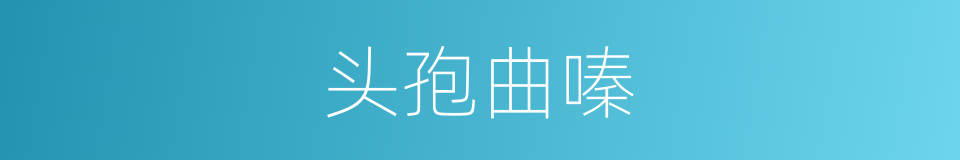 头孢曲嗪的同义词