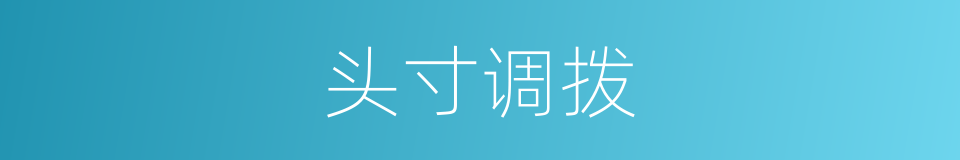 头寸调拨的同义词