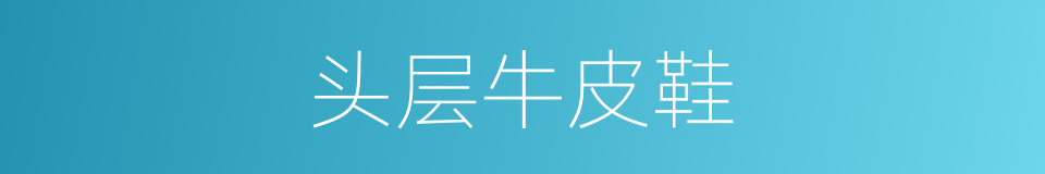 头层牛皮鞋的同义词
