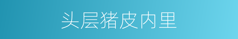 头层猪皮内里的同义词