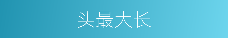 头最大长的意思