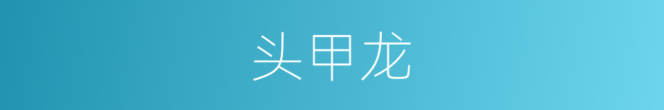 头甲龙的同义词