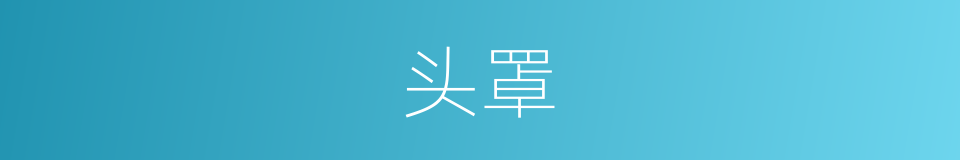 头罩的意思
