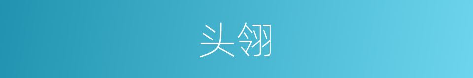 头翎的同义词