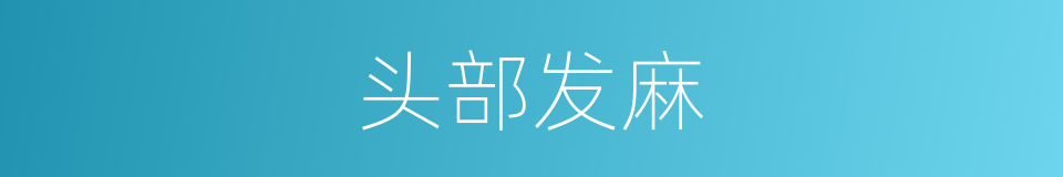 头部发麻的同义词