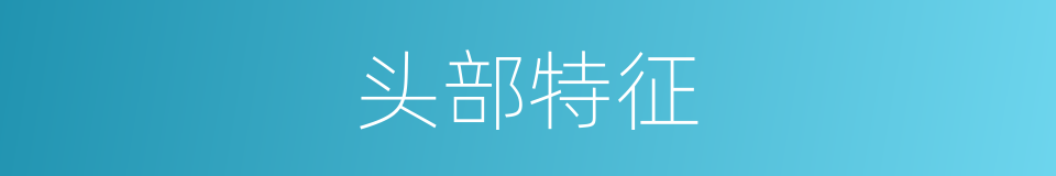 头部特征的同义词