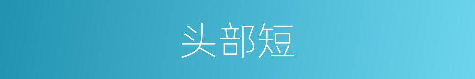 头部短的同义词
