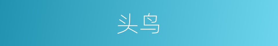 头鸟的同义词